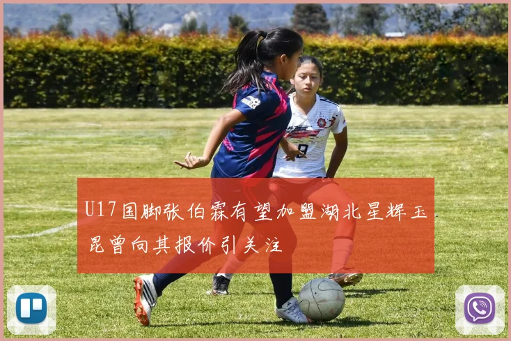 U17国脚张伯霖有望加盟湖北星辉玉昆曾向其报价引关注