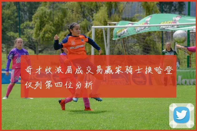 奇才收浓眉成交易赢家骑士换哈登仅列第四位分析